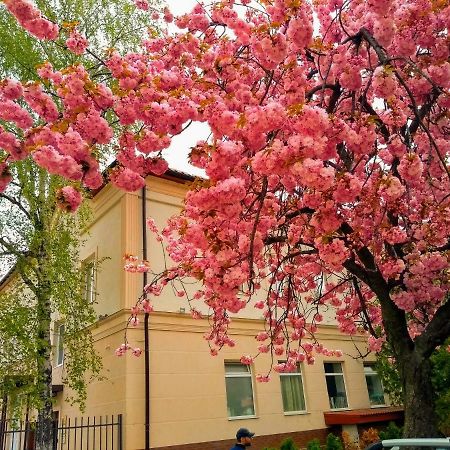 Mini-Hotel Na Pidgradskiy Uzhhorod Exterior photo