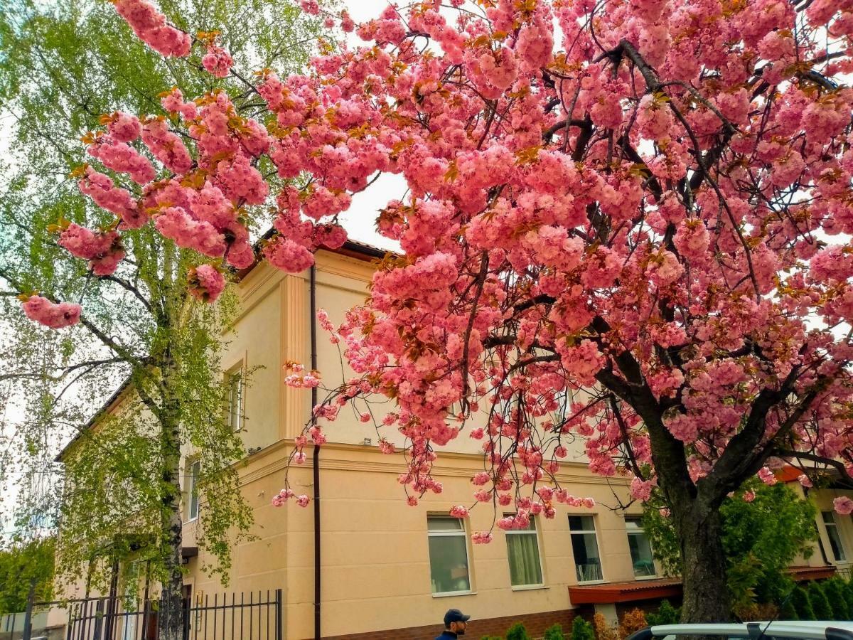 Mini-Hotel Na Pidgradskiy Uzhhorod Exterior photo